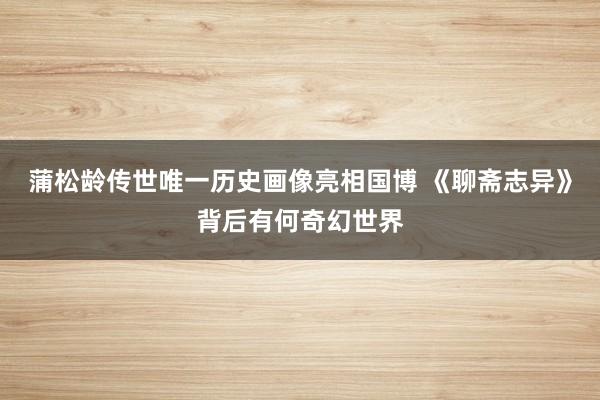 蒲松龄传世唯一历史画像亮相国博 《聊斋志异》背后有何奇幻世界