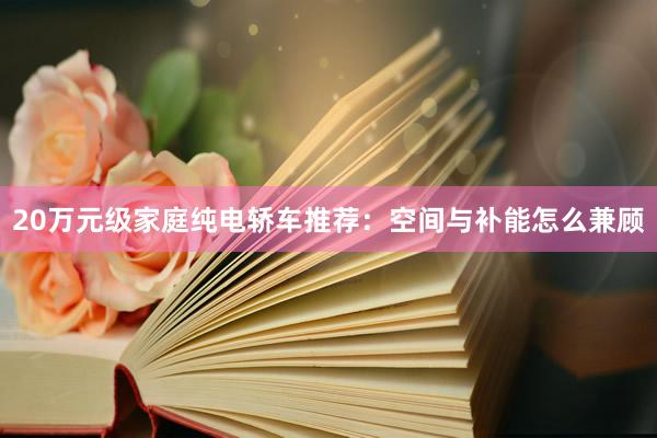 20万元级家庭纯电轿车推荐：空间与补能怎么兼顾