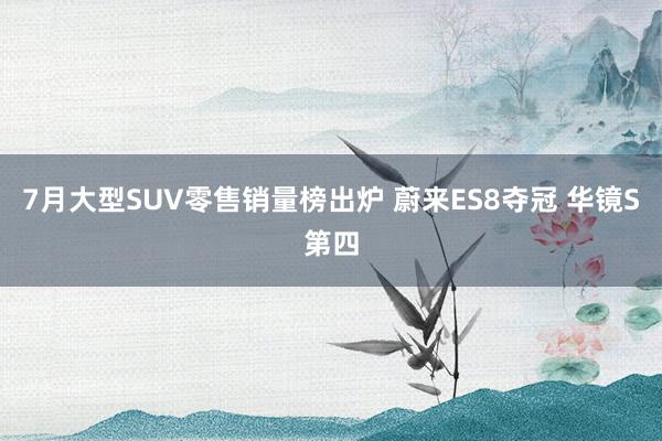 7月大型SUV零售销量榜出炉 蔚来ES8夺冠 华镜S第四