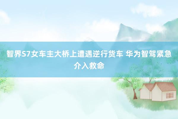 智界S7女车主大桥上遭遇逆行货车 华为智驾紧急介入救命