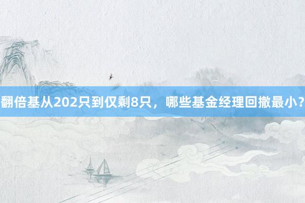 翻倍基从202只到仅剩8只，哪些基金经理回撤最小？