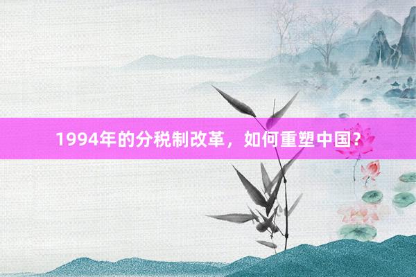 1994年的分税制改革，如何重塑中国？