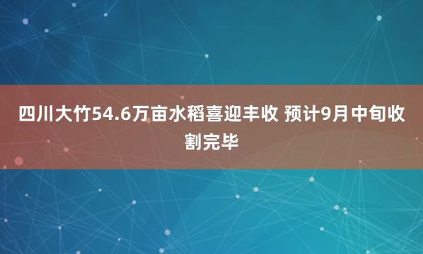 四川大竹54.6万亩水稻喜迎丰收 预计9月中旬收割完毕