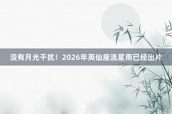 没有月光干扰！2026年英仙座流星雨已经出片