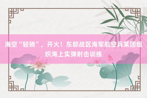海空“轻骑”，开火！东部战区海军航空兵某团组织海上实弹射击训练