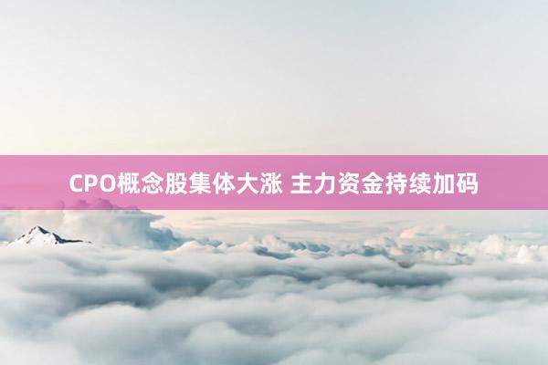 CPO概念股集体大涨 主力资金持续加码