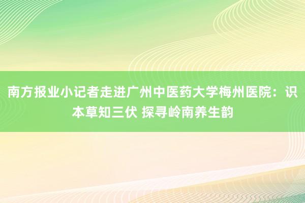 南方报业小记者走进广州中医药大学梅州医院：识本草知三伏 探寻岭南养生韵