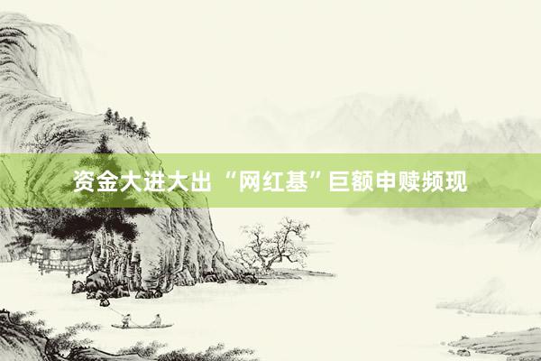 资金大进大出 “网红基”巨额申赎频现