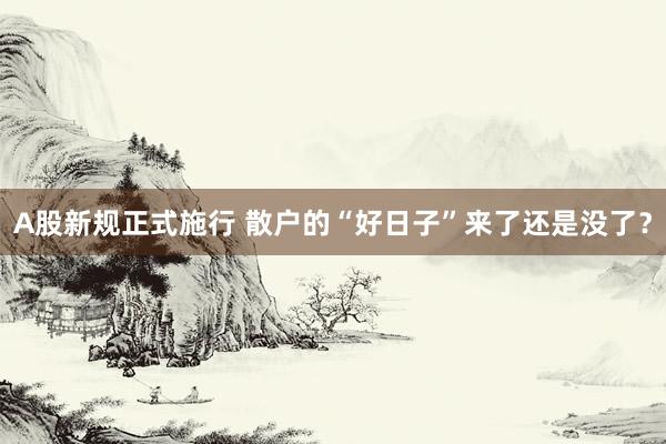 A股新规正式施行 散户的“好日子”来了还是没了？
