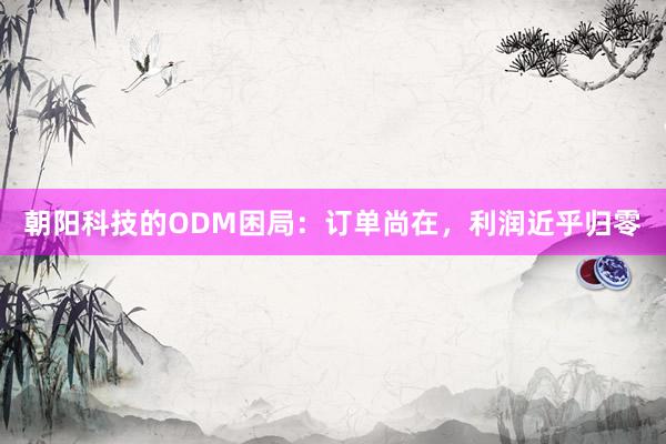 朝阳科技的ODM困局：订单尚在，利润近乎归零