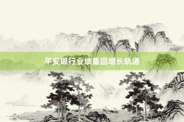 平安银行业绩重回增长轨道