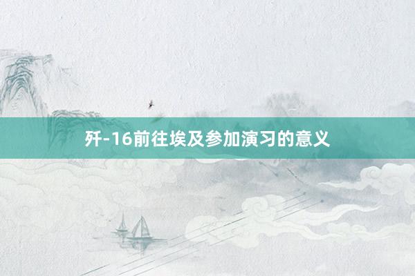 歼-16前往埃及参加演习的意义