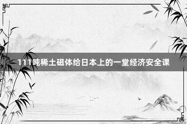 111吨稀土磁体给日本上的一堂经济安全课