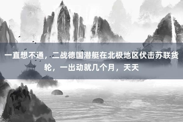 一直想不通，二战德国潜艇在北极地区伏击苏联货轮，一出动就几个月，天天