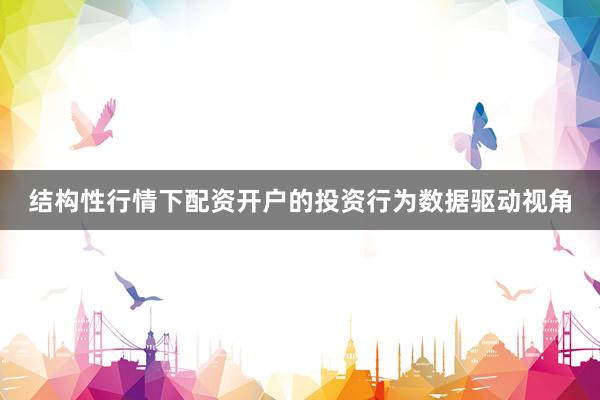 结构性行情下配资开户的投资行为数据驱动视角