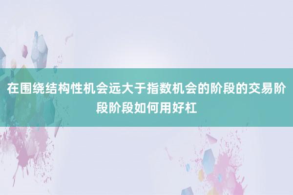 在围绕结构性机会远大于指数机会的阶段的交易阶段阶段如何用好杠