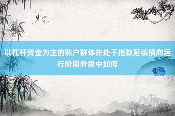 以杠杆资金为主的账户群体在处于指数延续横向运行阶段阶段中如何