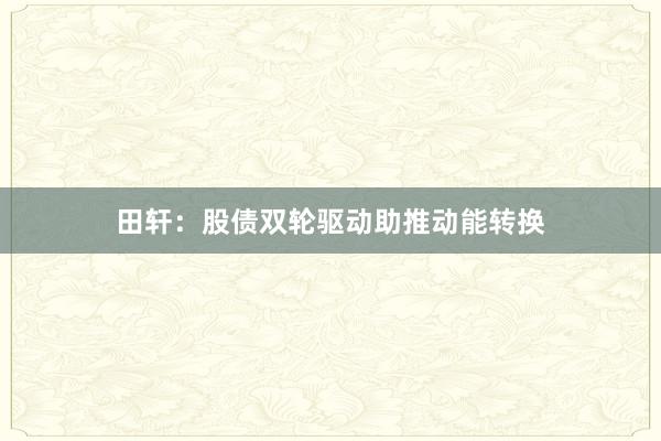 田轩：股债双轮驱动助推动能转换