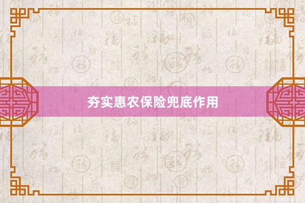 夯实惠农保险兜底作用