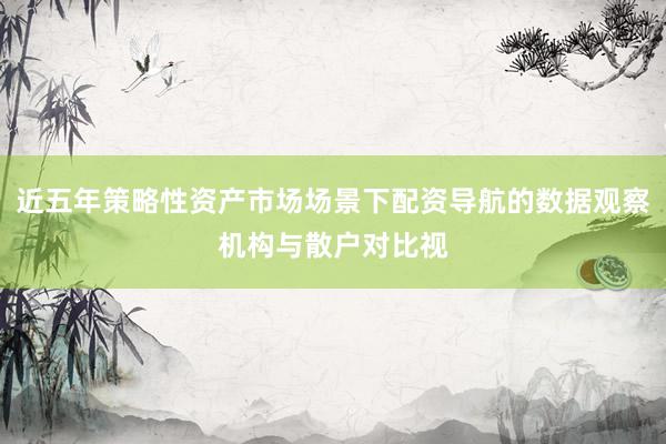 近五年策略性资产市场场景下配资导航的数据观察机构与散户对比视