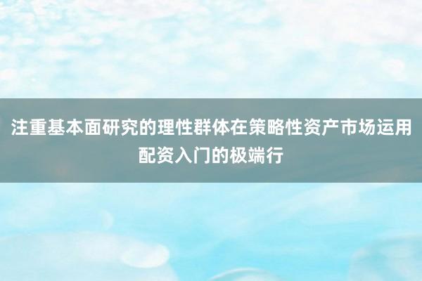 注重基本面研究的理性群体在策略性资产市场运用配资入门的极端行