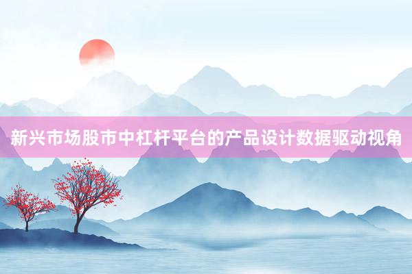 新兴市场股市中杠杆平台的产品设计数据驱动视角