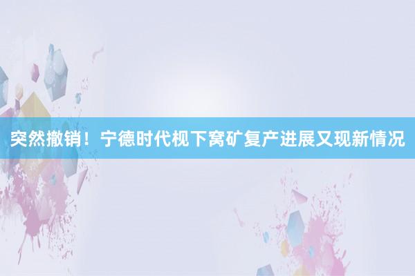 突然撤销！宁德时代枧下窝矿复产进展又现新情况