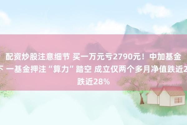 配资炒股注意细节 买一万元亏2790元！中加基金旗下 一基金押注“算力”踏空 成立仅两个多月净值跌近28%