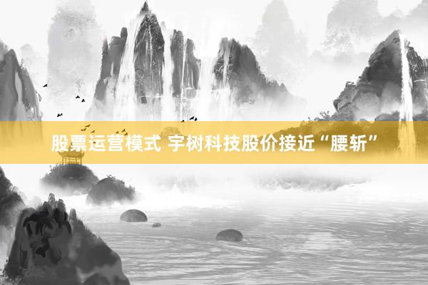 股票运营模式 宇树科技股价接近“腰斩”
