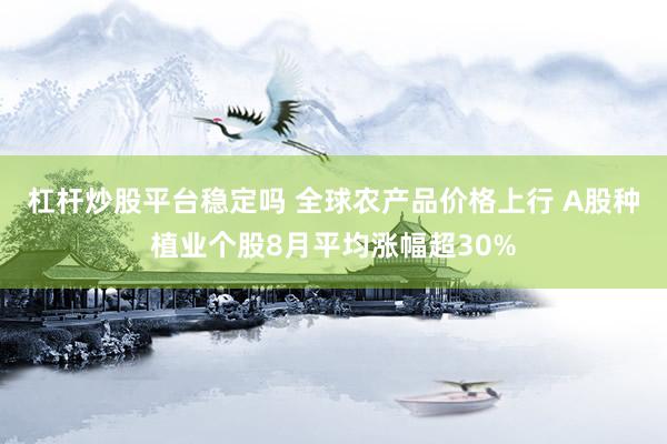 杠杆炒股平台稳定吗 全球农产品价格上行 A股种植业个股8月平均涨幅超30%
