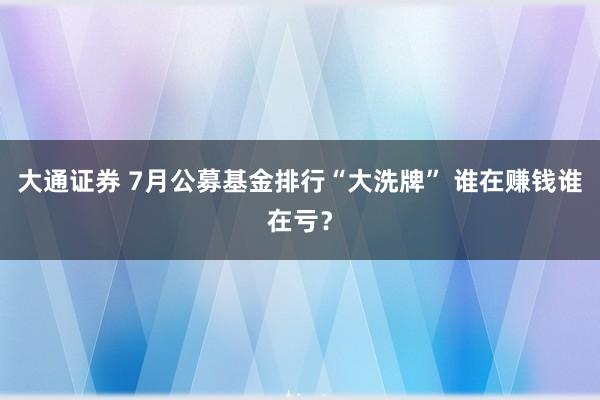 大通证券 7月公募基金排行“大洗牌” 谁在赚钱谁在亏？