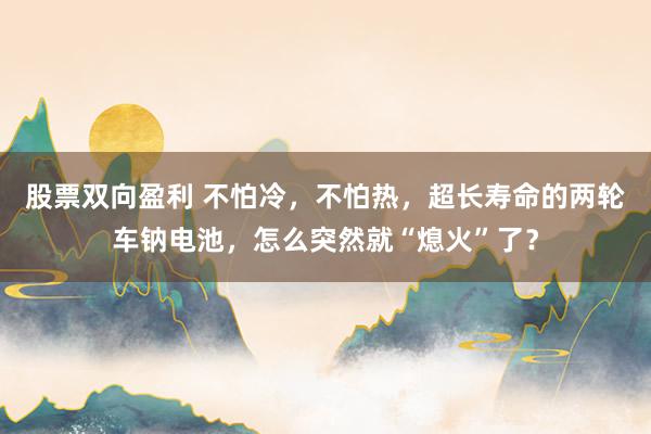 股票双向盈利 不怕冷，不怕热，超长寿命的两轮车钠电池，怎么突然就“熄火”了？
