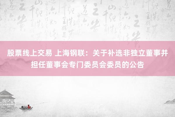 股票线上交易 上海钢联：关于补选非独立董事并担任董事会专门委员会委员的公告