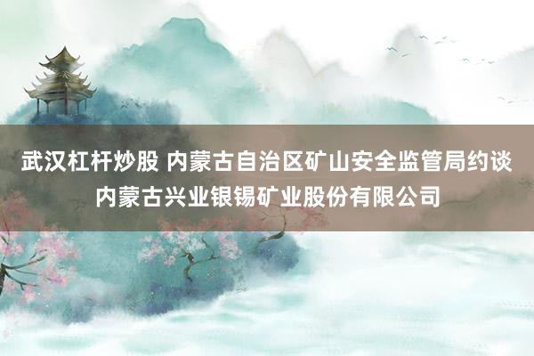 武汉杠杆炒股 内蒙古自治区矿山安全监管局约谈内蒙古兴业银锡矿业股份有限公司