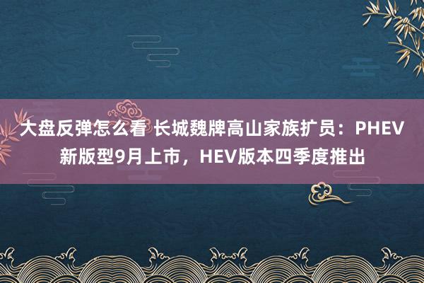 大盘反弹怎么看 长城魏牌高山家族扩员：PHEV新版型9月上市，HEV版本四季度推出