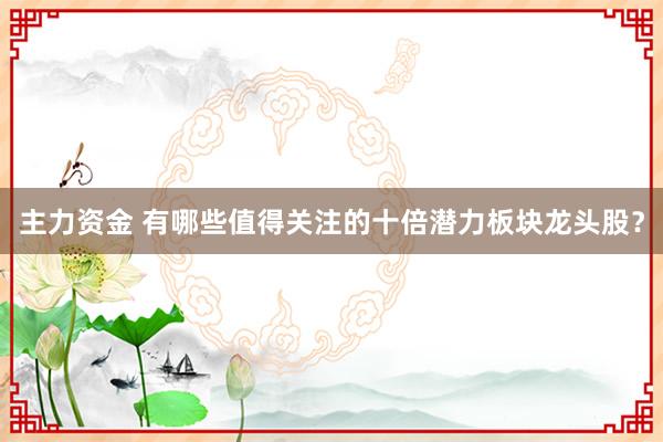 主力资金 有哪些值得关注的十倍潜力板块龙头股？