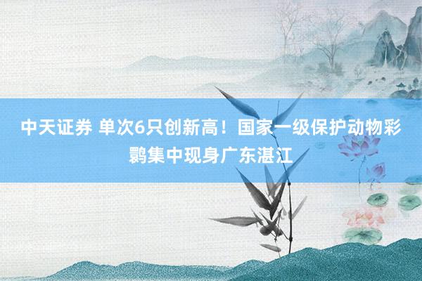 中天证券 单次6只创新高！国家一级保护动物彩鹮集中现身广东湛江
