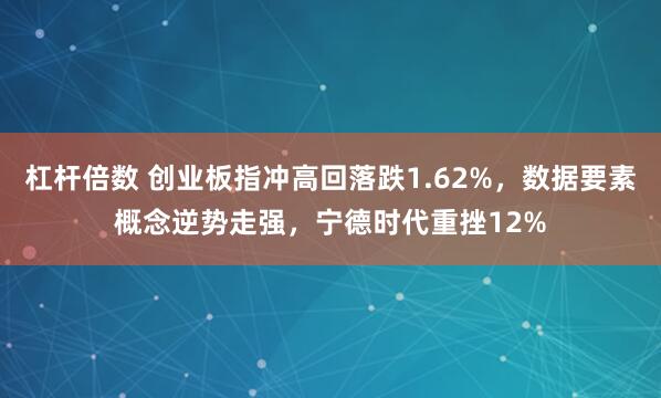 杠杆倍数 创业板指冲高回落跌1.62%，数据要素概念逆势走强，宁德时代重挫12%