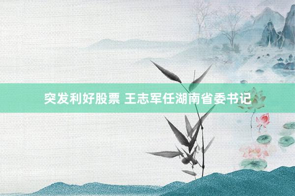 突发利好股票 王志军任湖南省委书记
