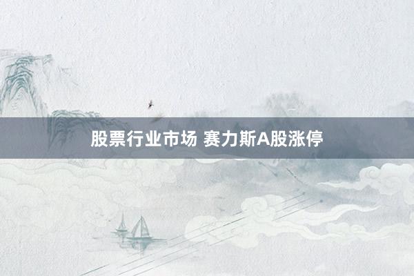 股票行业市场 赛力斯A股涨停